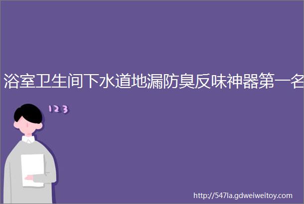 浴室卫生间下水道地漏防臭反味神器第一名